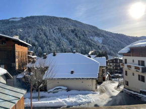 Appartement Cosy idéalement situé Le Grand-Bornand
